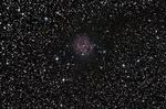 IC5146,<br />2009-07-25