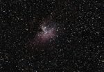 M16,<br />2009-07-19