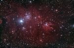 NGC2264,<br />2013-12-08